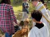 Come to the Annual Blessing of the Animals, Sunday Oct 6th