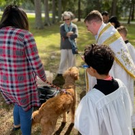 Come to the Annual Blessing of the Animals, Sunday Oct 6th